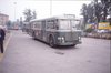 autobus con fendinebbia1988(luxury)