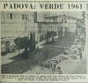 nuovo giardinetto al posto delle pescherie1961