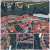 Selvatico da salvare(GMaps)