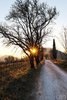 autunno sul Monte Fasolo(AlbertoSguotti)